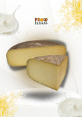 ALTBACKENER, CREMIGER TOMME